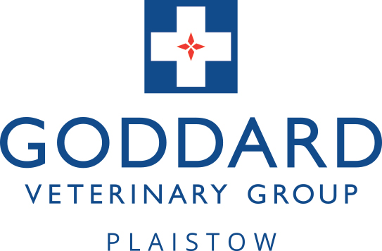 Goddard Veterinary Group Plaistow - London , United Kingdom