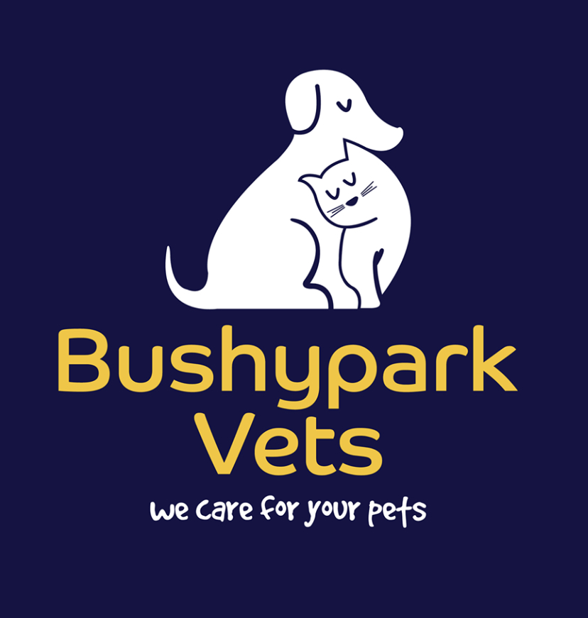 Bushypark Vets - Galway , Ireland