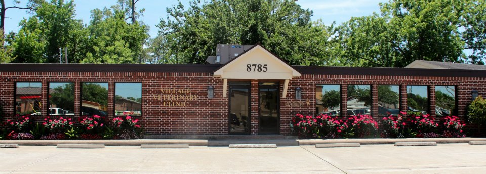 Village Veterinary Clinic - Houston , United States