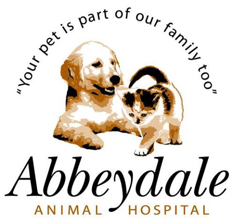 Abbeydale Animal Hospital - St Thomas , Canada