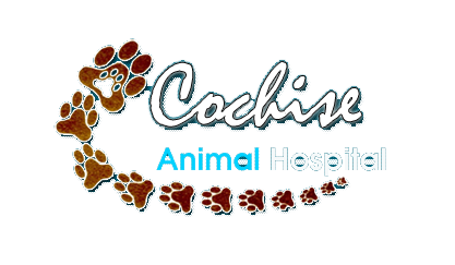 Cochise Animal Hospital - Scottsdale , United States