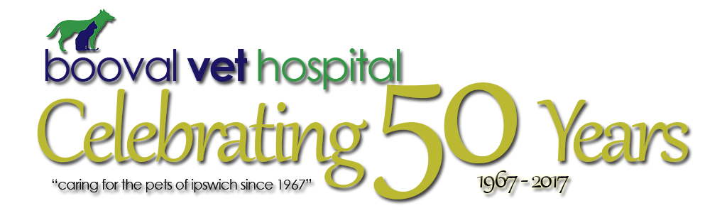 Booval Veterinary Hospital - Booval , Australia