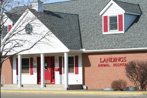 Landings Animal Hospital - Avon Lake , United States