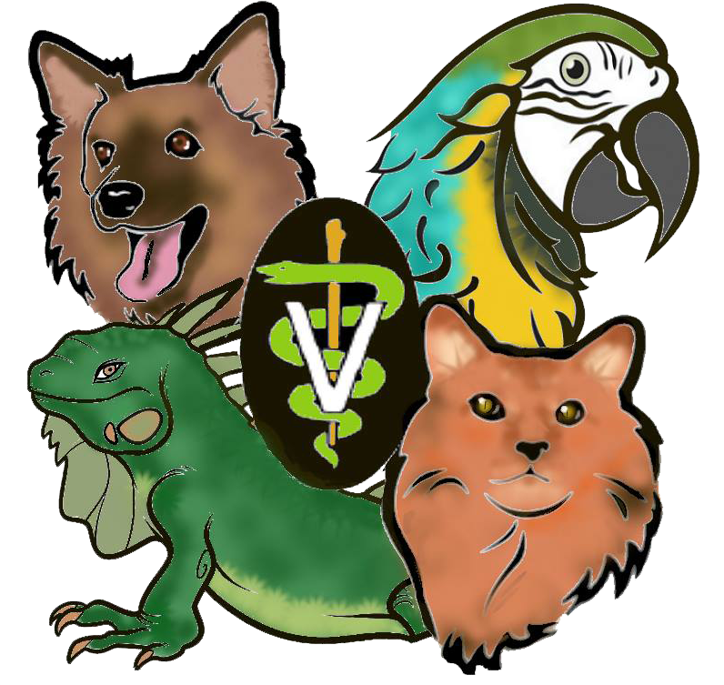 Animal Medical Hospital Of Centereach - Centereach , United States