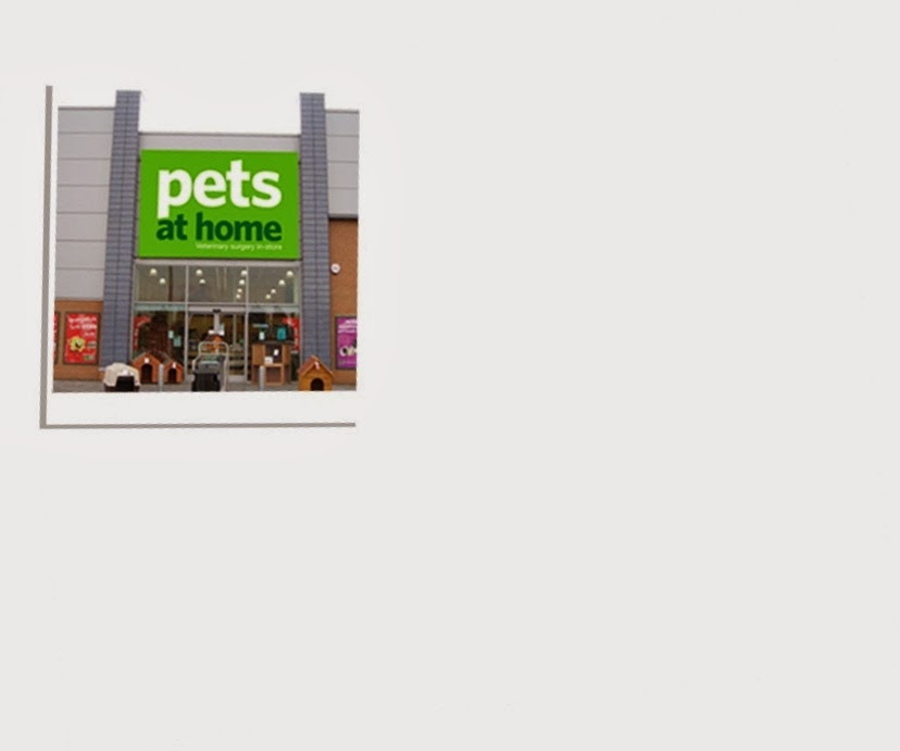 Vets4Pets Farnham - Farnham , United Kingdom