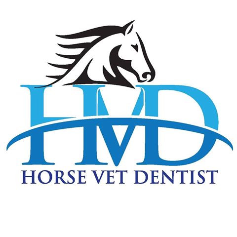 Horsevetdentist - Emerald , Australia
