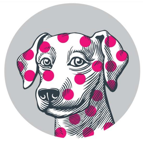 Village Vet Royston - Royston , United Kingdom