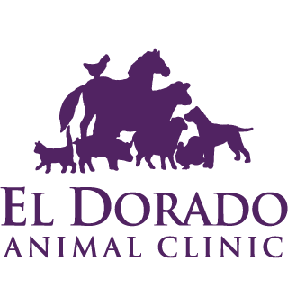 El Dorado Animal Clinic - El Dorado , United States