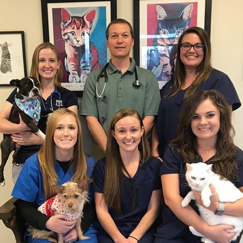 All Creatures Veterinary Services Formerly Elberton Animal Hospital - Elberton , United States