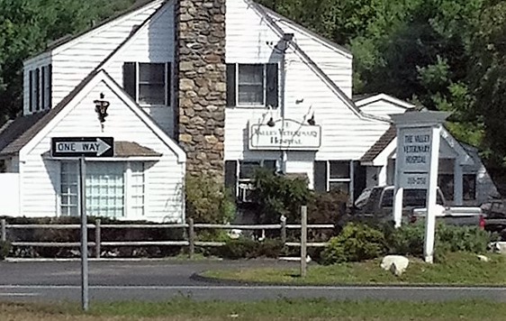 Valley Veterinary Hospital - New Milford , United States