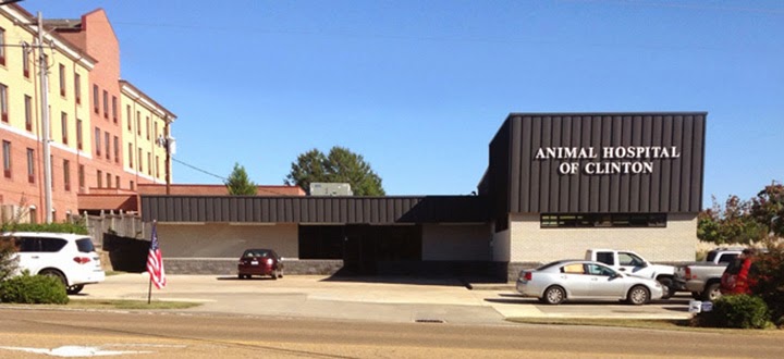 Animal Hospital Of Clinton - Clinton , United States