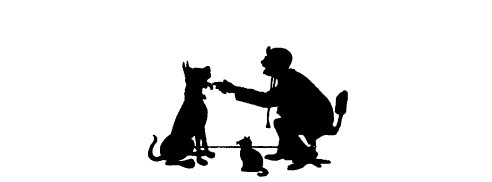 Beamsville Animal Hospital - Beamsville , Canada