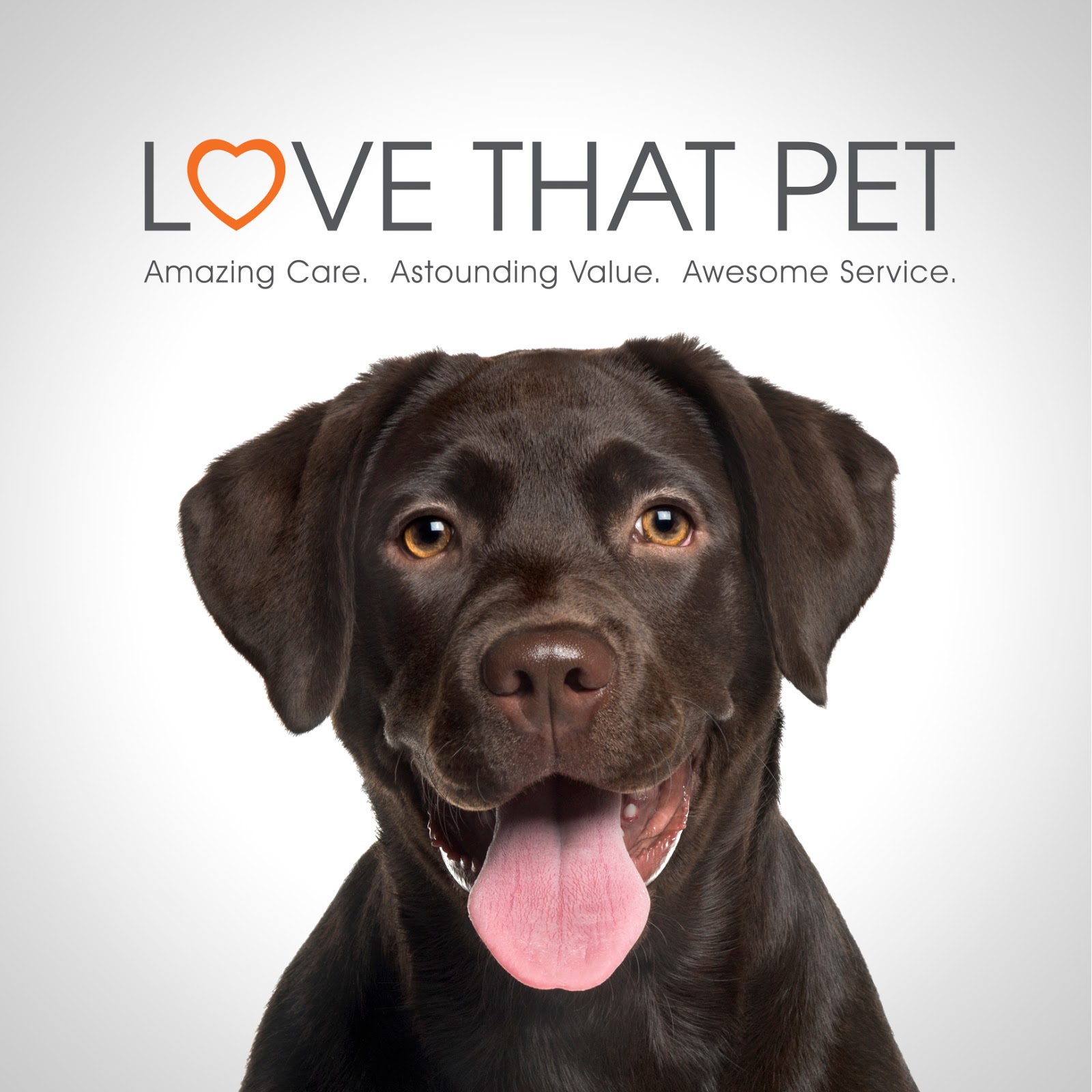 Deception Bay Veterinary Clinic - Deception Bay , Australia