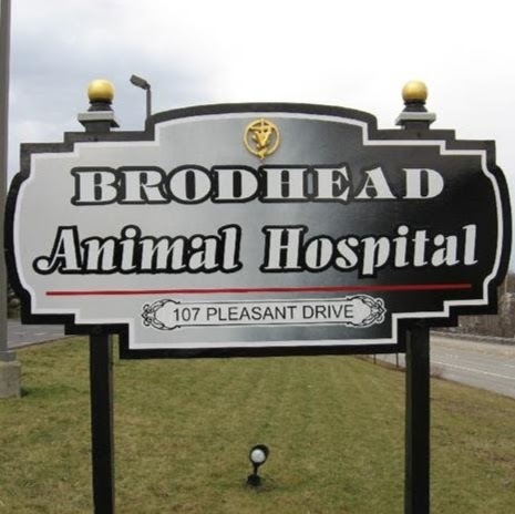 Brodhead Animal Hospital - Aliquippa , United States