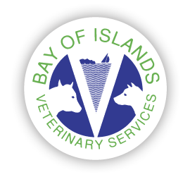Bay Of Islands Veterinary Services Kaikohe - Kaikohe , New Zealand