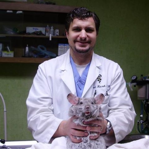 Mitchell Animal Clinic - Mobile , United States