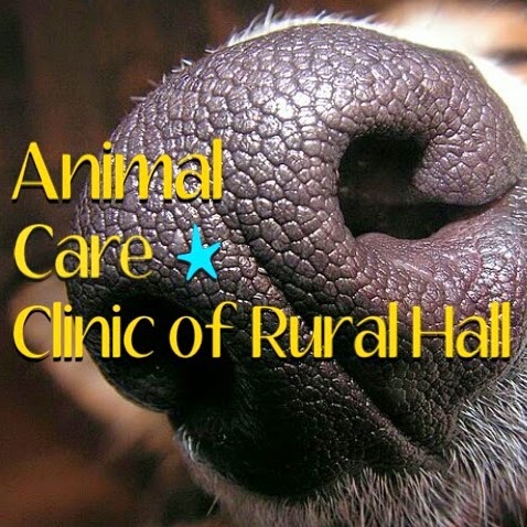 Animal Care Clinic Of Rural Hall - Rural Hall , United States