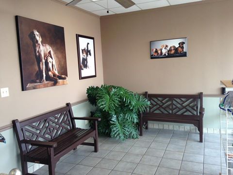 Chase Oaks Animal Clinic - Plano , United States