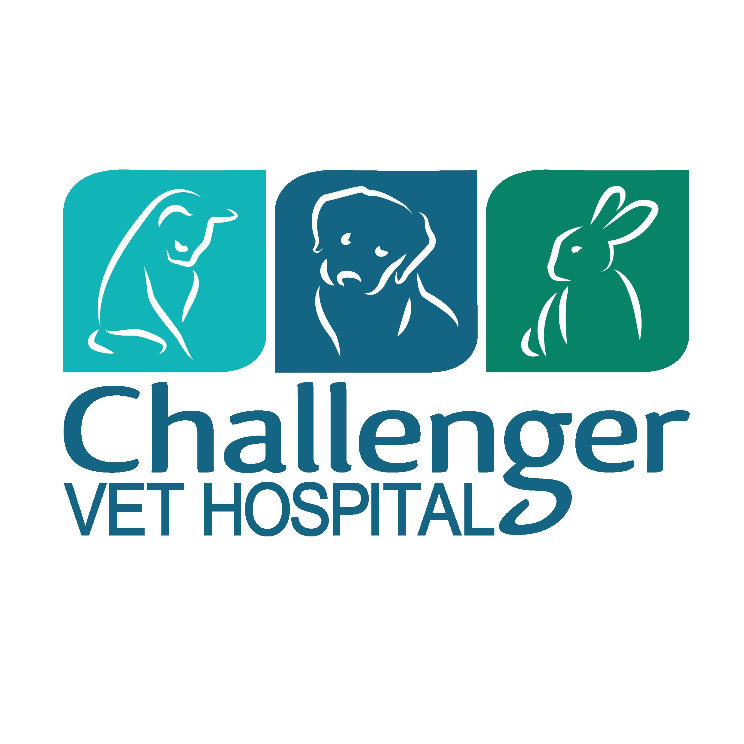 Challenger Veterinary Hospital - Kwinana Town Centre , Australia
