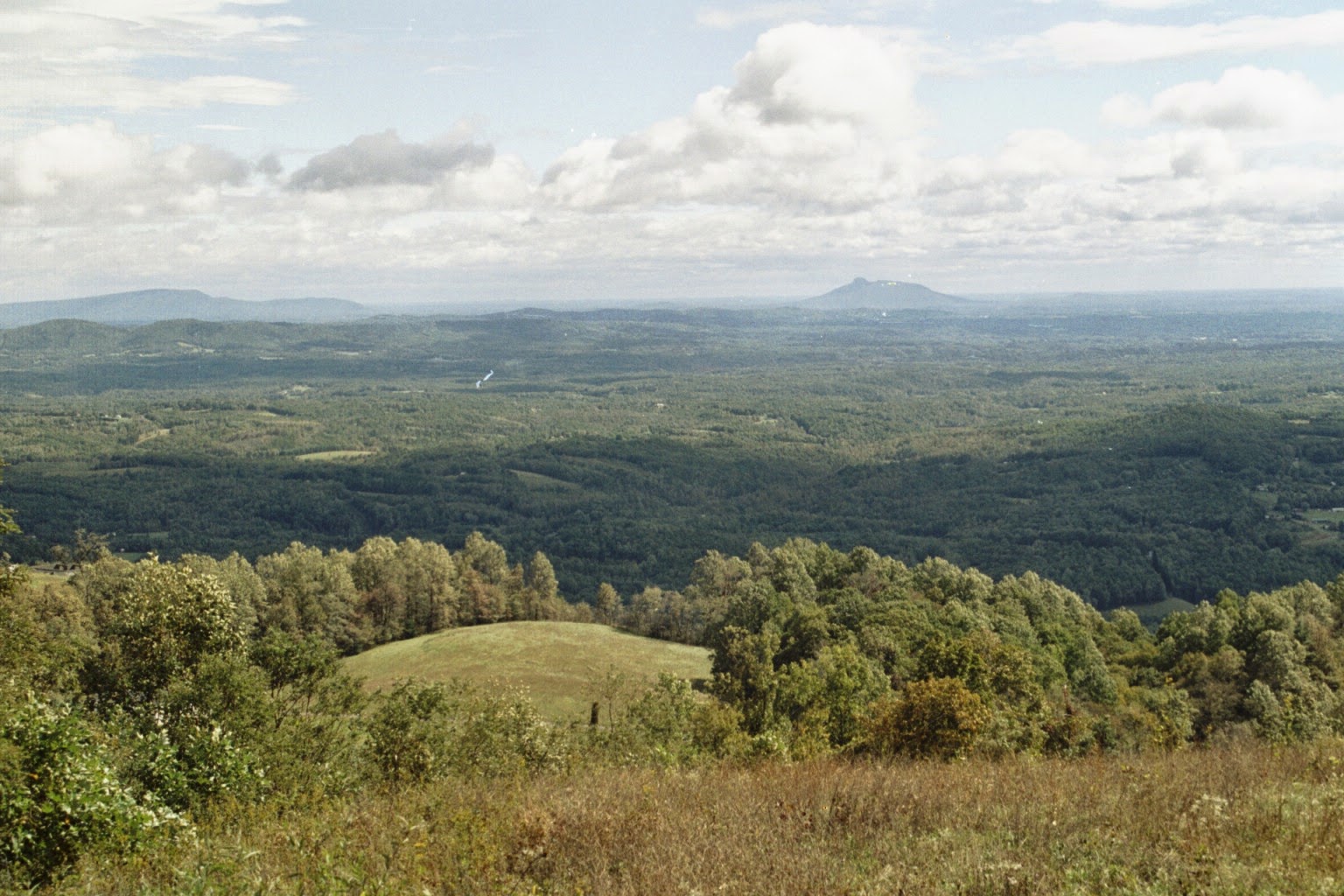 Animal Medical Services - Mt Airy , United States