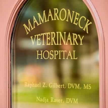 Mamaroneck Veterinary Hospital - Mamaroneck , United States