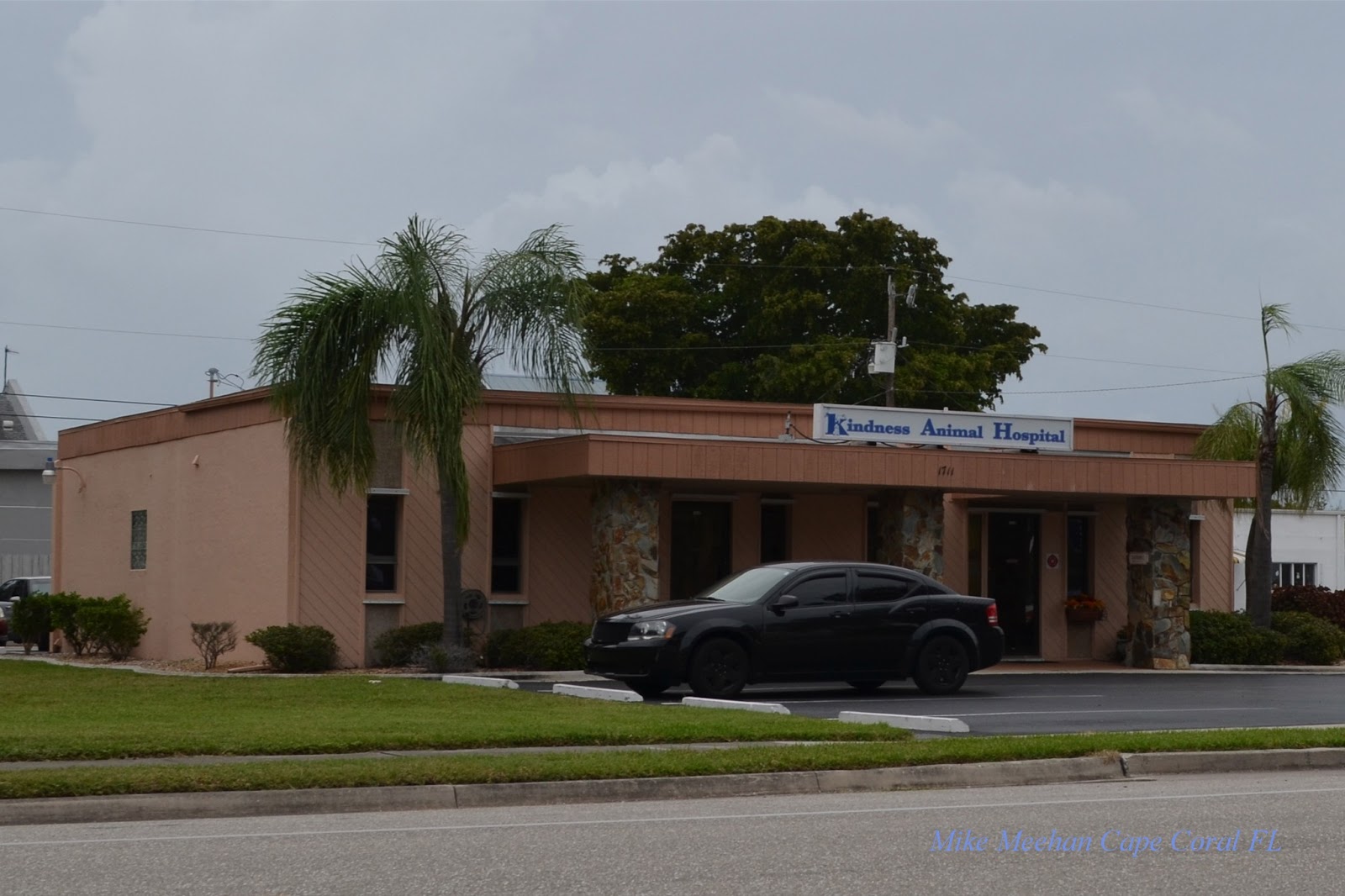 Kindness Animal Hospital East A Thrive Pet Healthcare Partner - Cape Coral , United States