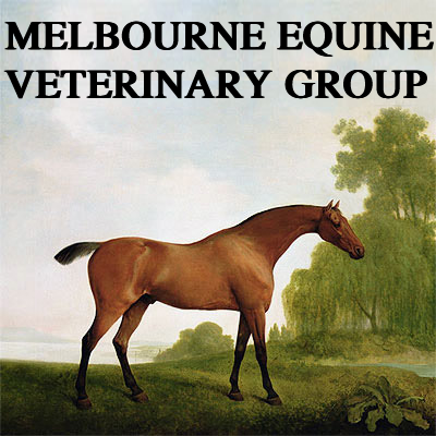 Melbourne Equine Veterinary Group - Caulfield East , Australia