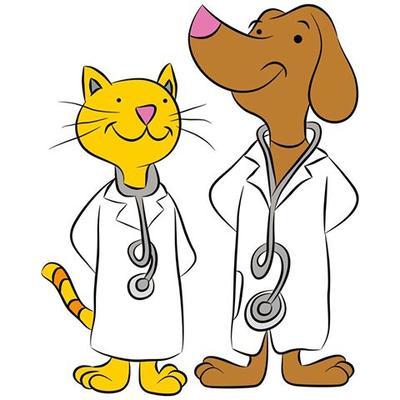 Reese Veterinary Clinic 1170 Hemphill Road Burton Reviews and