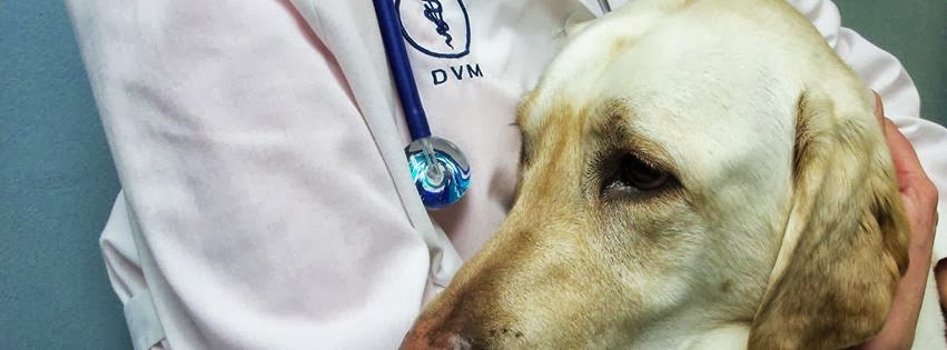 Scott County Animal Hospital - Eldridge , United States
