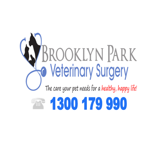 Pets Health Hilton Vet Centre - Hilton , Australia
