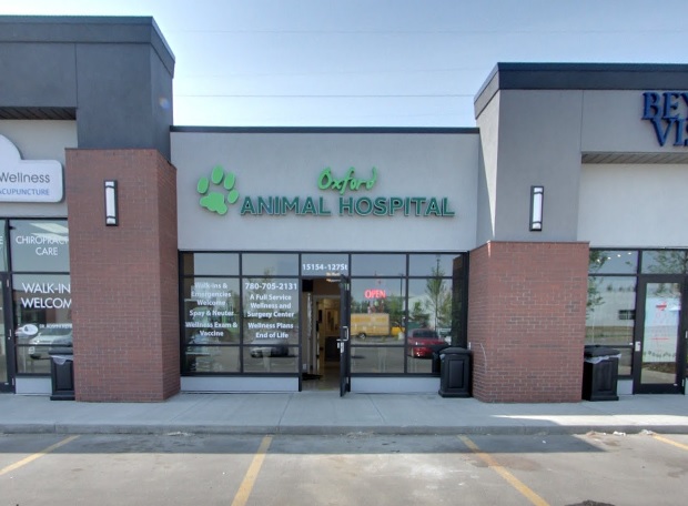Oxford Animal Hospital - Edmonton , Canada