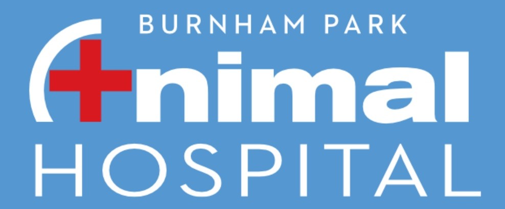 Burnham Park Animal Hospital - Chicago , United States