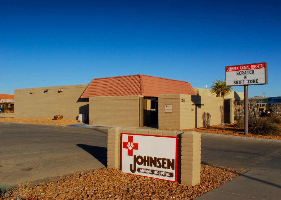 Tlc Animal Hospital - El Paso , United States