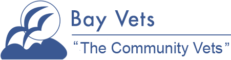 Bay Vets Milnthorpe - Milnthorpe , United Kingdom