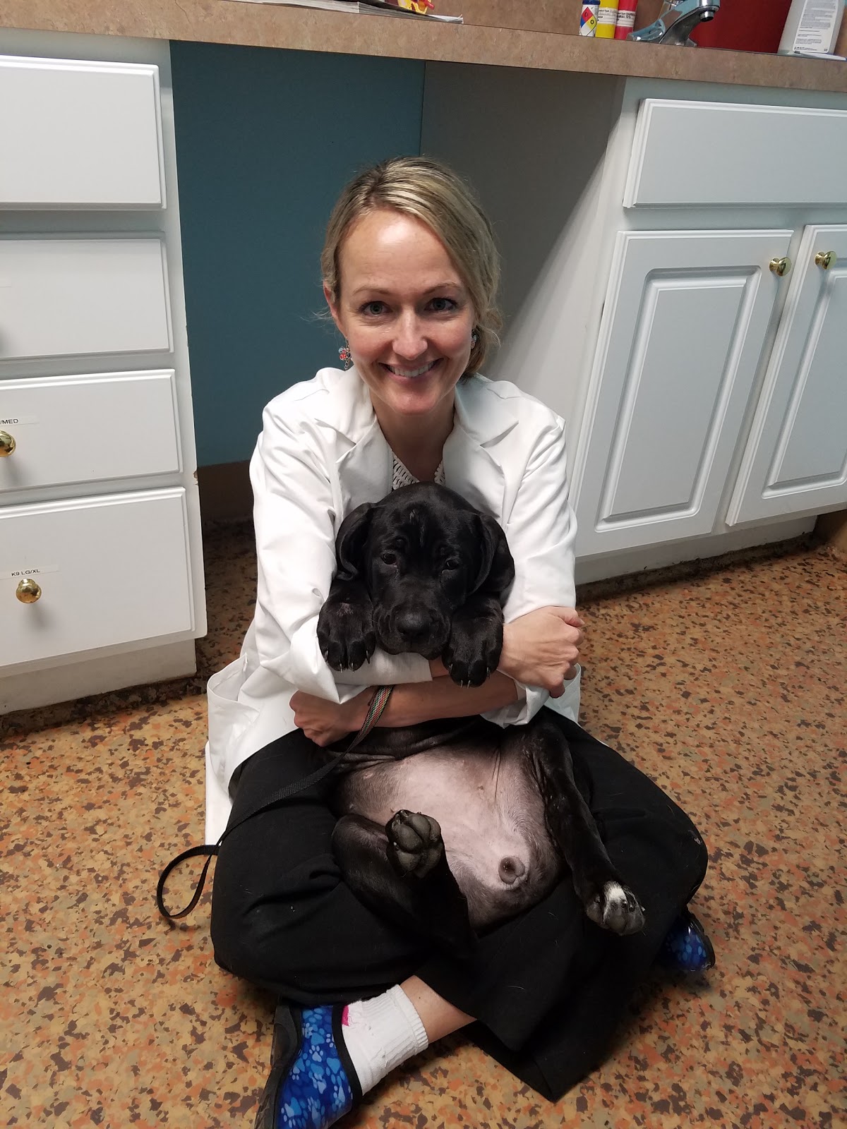 Beach Pet Hospital - Virginia Beach , United States