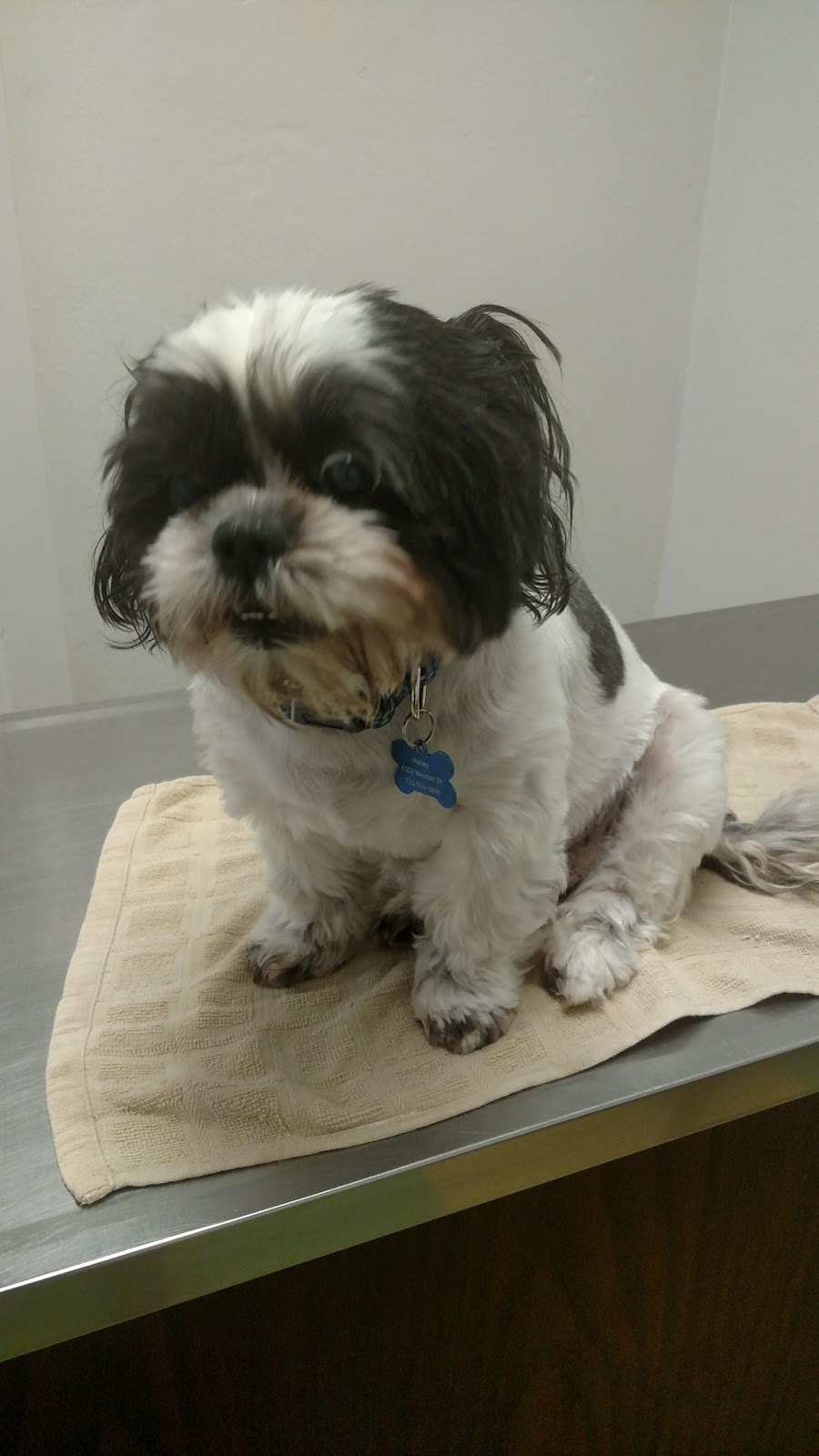 Richmond Animal Hospital - Richmond , United States
