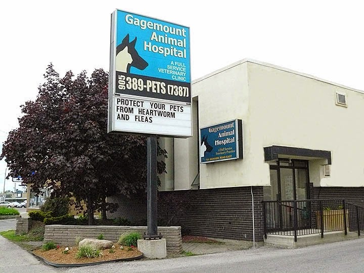 Gagemount Animal Hospital - Hamilton , Canada