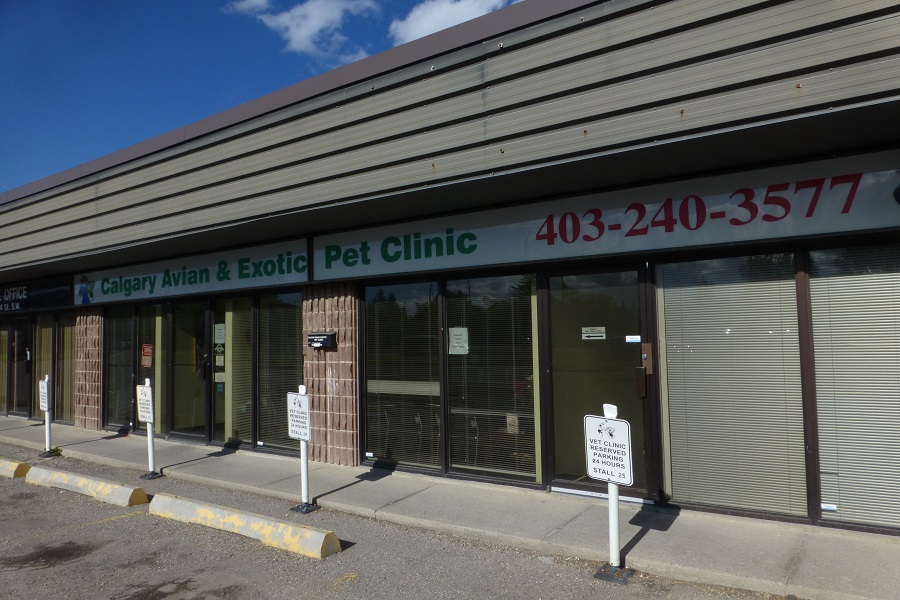 Calgary Avian And Exotic Pet Clinic - Calgary , Canada