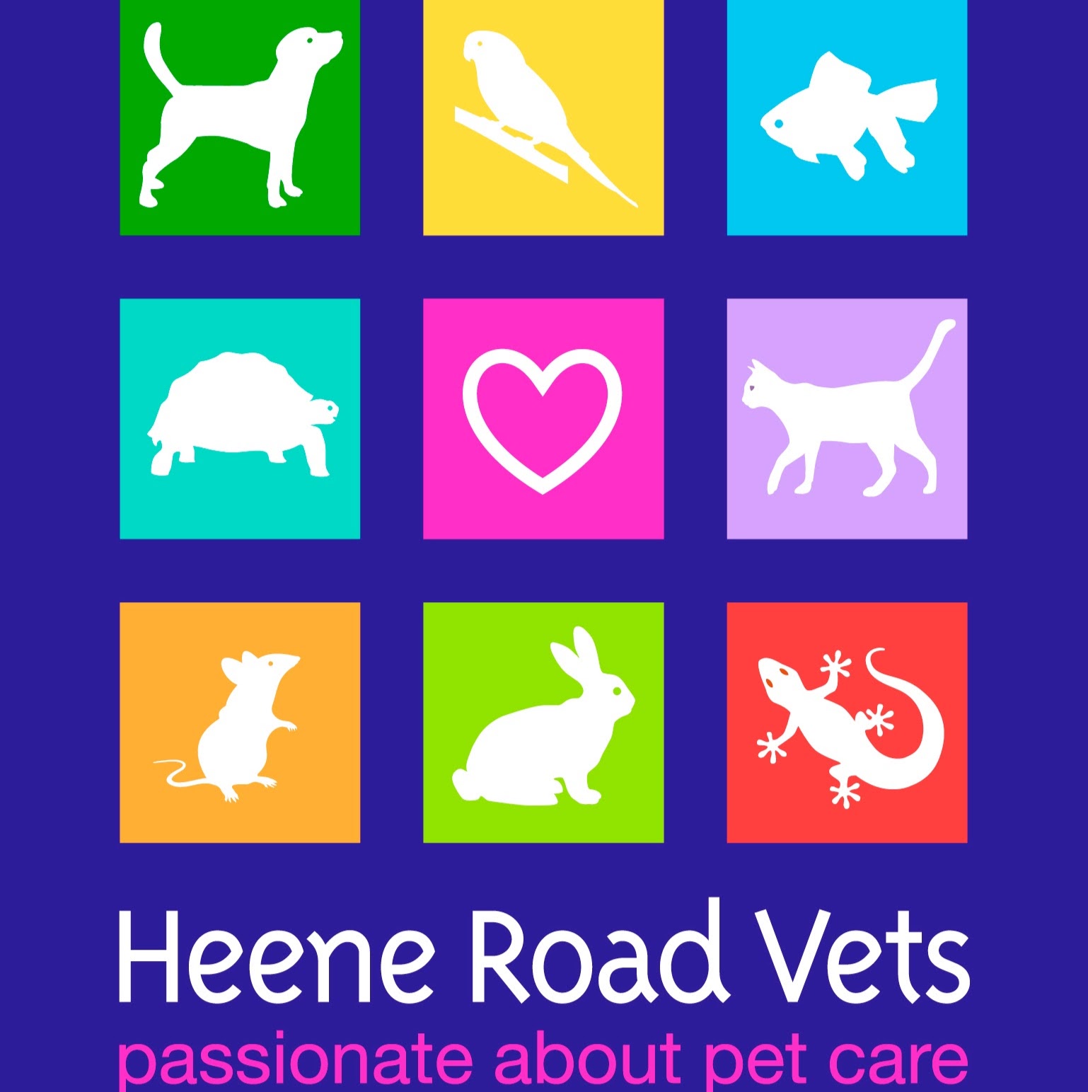 Medivet Worthing - Worthing , United Kingdom