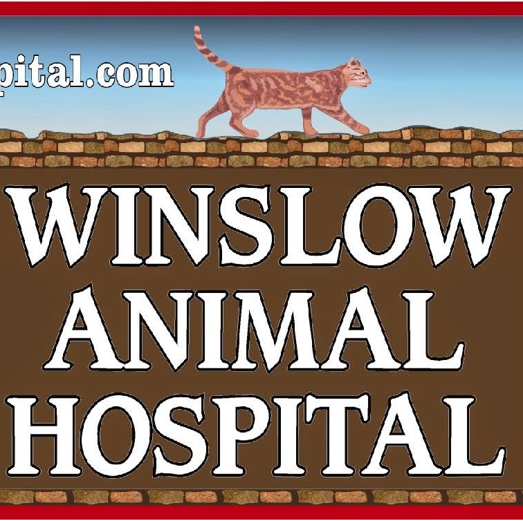 Vca Winslow Animal Hospital - Sicklerville , United States