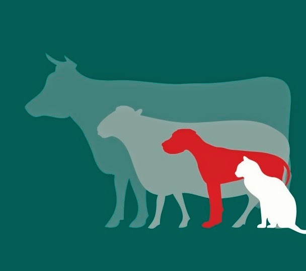 Dubbo Veterinary Hospital - Dubbo , Australia