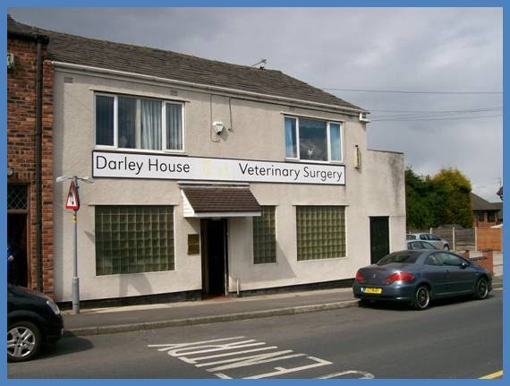 Darley House Veterinary Surgery - Bolton , United Kingdom