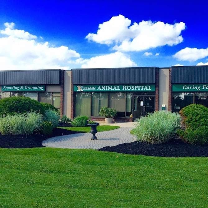 Kingsdale Animal Hospital - Kitchener , Canada