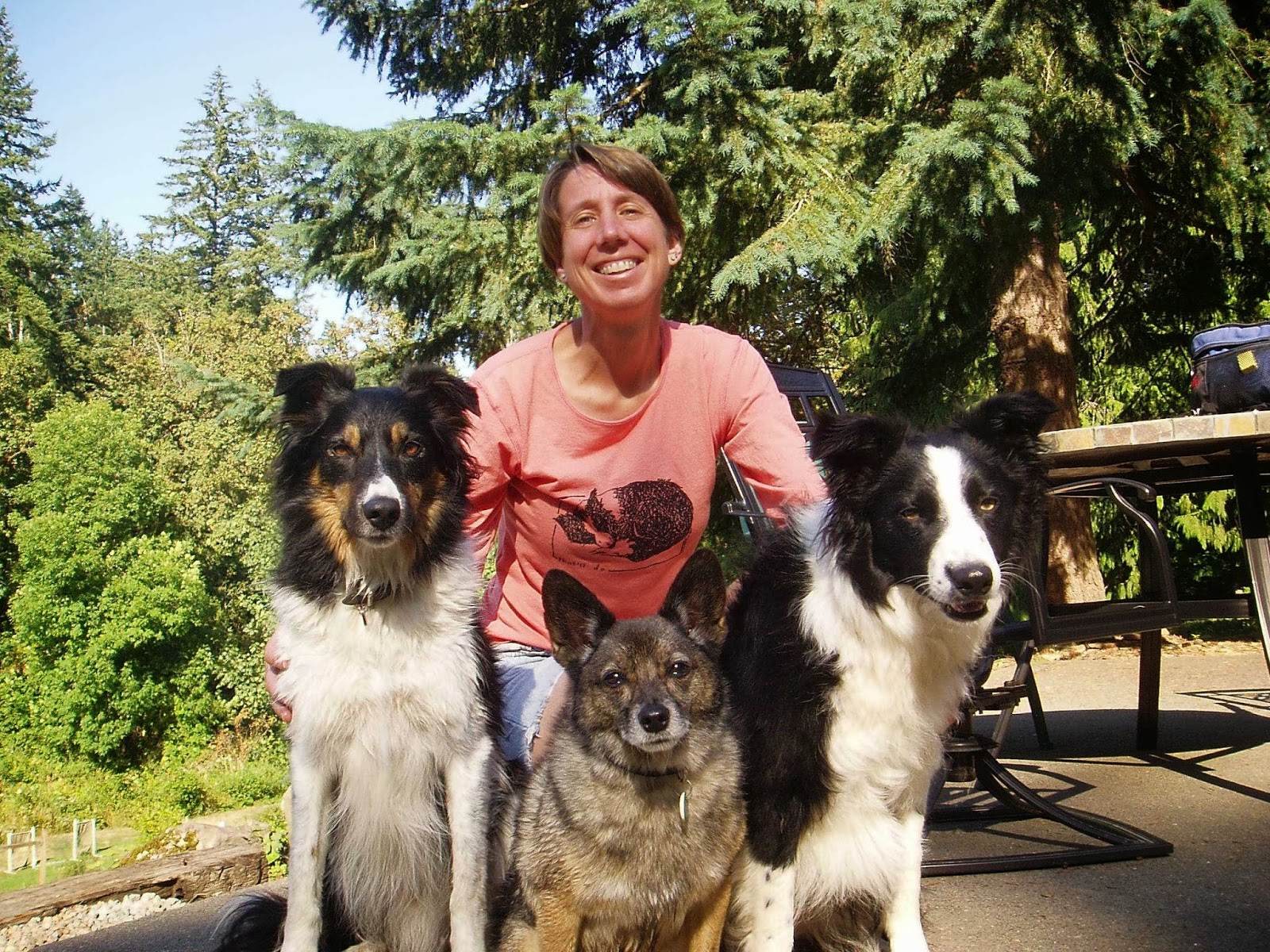 Pacific Veterinary Hospital - Portland , United States