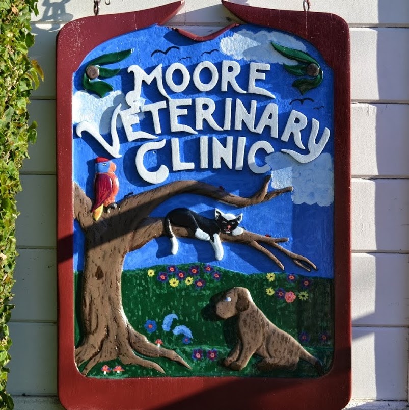 Moore Veterinary Care - Ventura , United States
