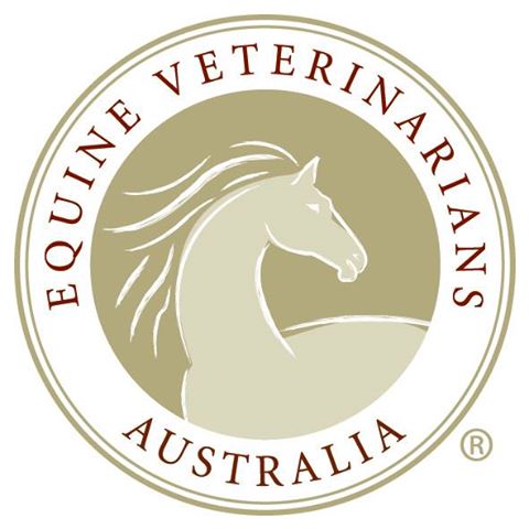 Brett Morris Equine Veterinary Service - Morayfield , Australia