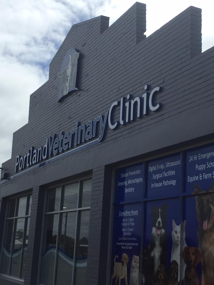 Portland sales veterinary clinic