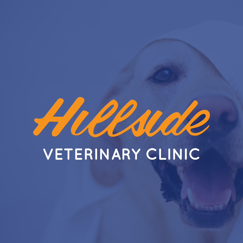 Hillside Veterinary Clinic - Newmarket , Canada