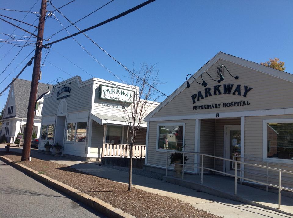 Parkway Veterinary Hospital - West Roxbury , United States