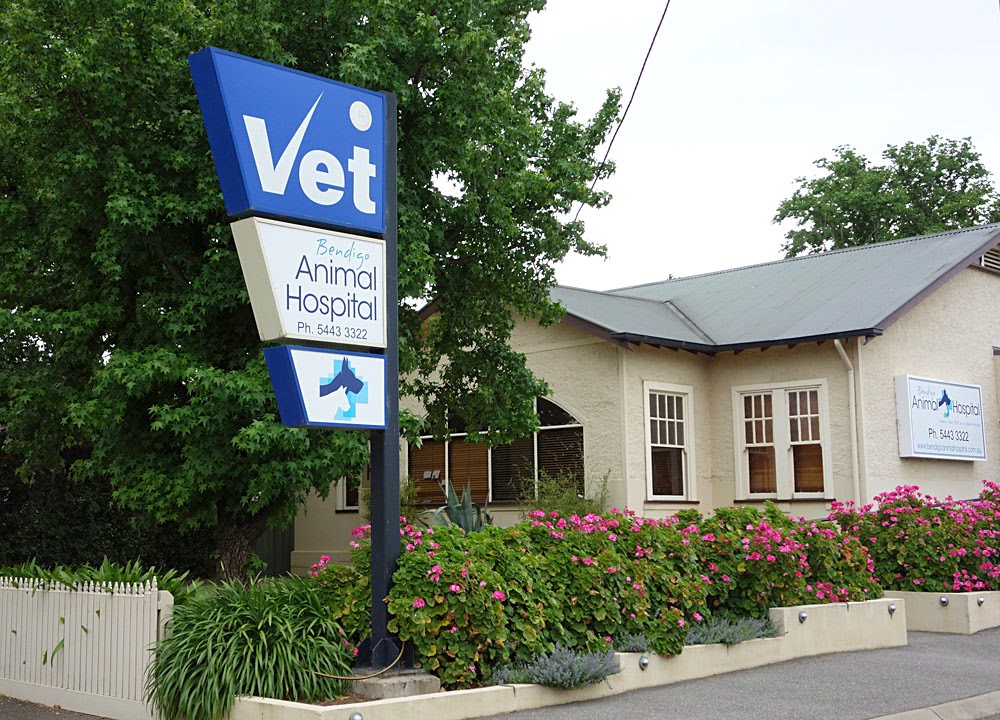Bendigo Animal Hospital - Bendigo , Australia